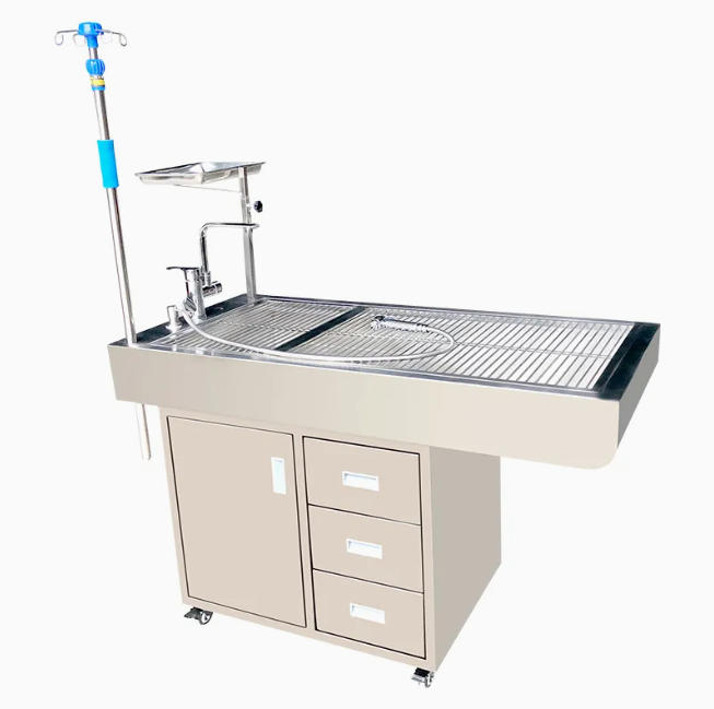 Chăm sóc thú cưng Phẫu thuật phẫu thuật Thú y Nha khoa Điều trị y tế Bàn khám động vật